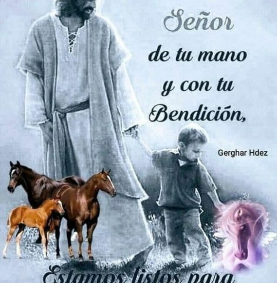 Meet your Posher, Michael - Picture 1 of 1